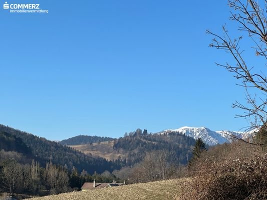 Ausblick