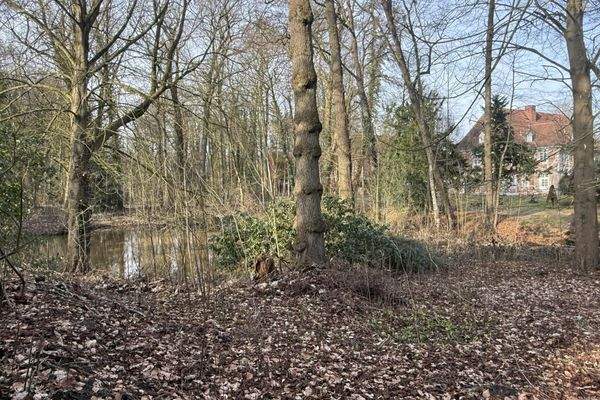 Garten mit eigenem Teich