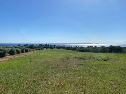 Chalkidiki Bauernhöfe, Landwirtschaft, Chalkidiki Forstwirtschaft