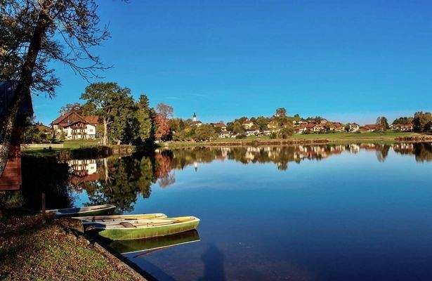 Morgenstimmung am See