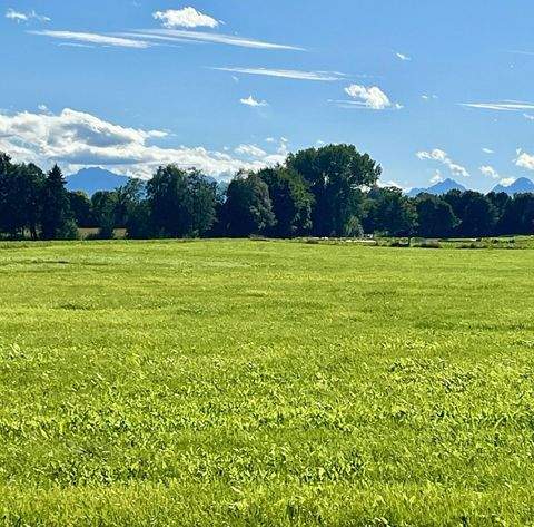 Peiting Grundstücke, Peiting Grundstück kaufen