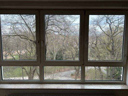 Blick auf den ROSENAUPARK