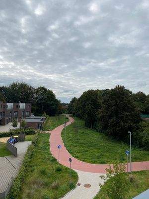 Roter Weg durch Grünanlage