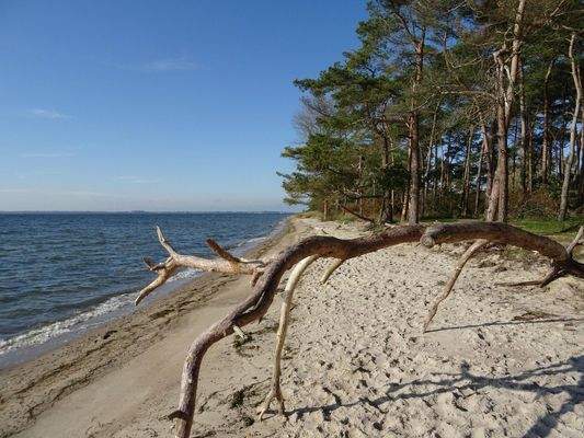 Badestrand in der Nähe
