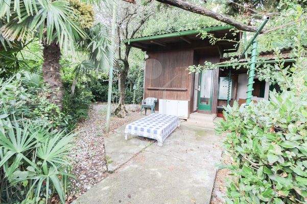 Eine mediterrane Bepflanzung ziert den Garten