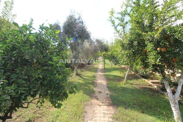 3-Bedroom House Near Land of Legends in Kadriye