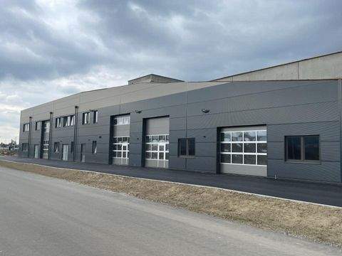 Ansfelden Halle, Ansfelden Hallenfläche