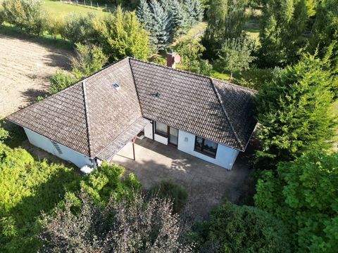 Wittorf Häuser, Wittorf Haus kaufen