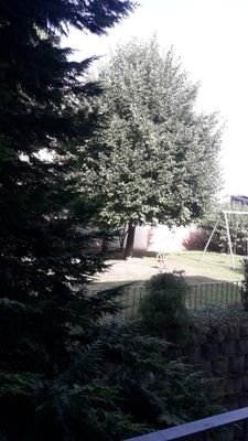 20240822_101752.jpg
