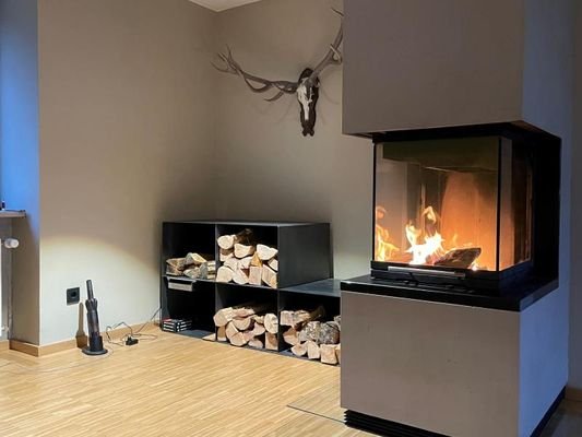 Holz-Kaminofen im Wohnzimmer