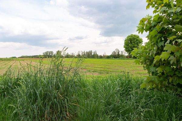 Ein Zuhause, das mit der Umwelt atmet