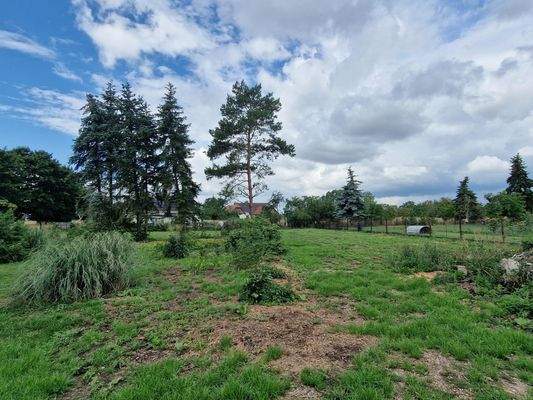 Ansicht Garten hinten