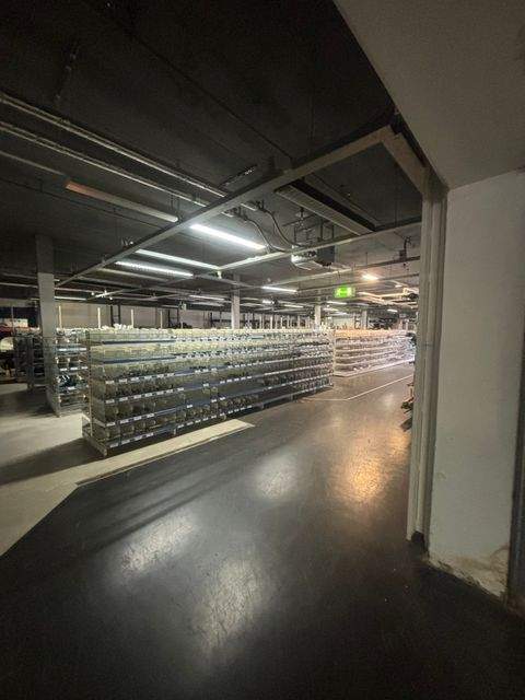 Löhne Halle, Löhne Hallenfläche