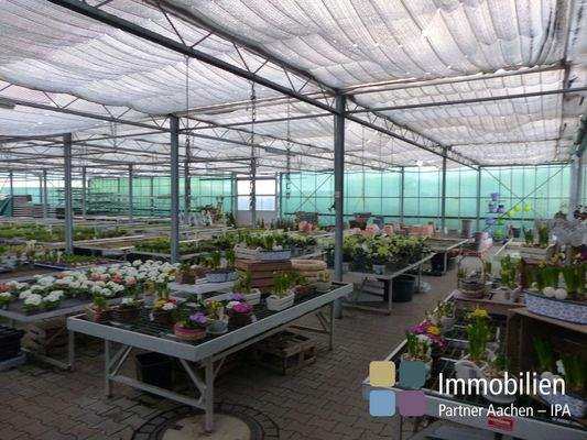 Verkauf und Produktion