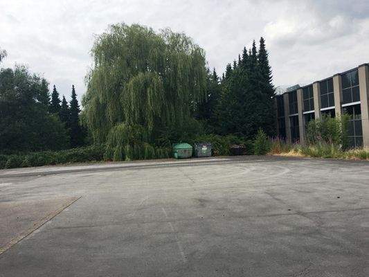 Freifläche /Parkfläche 