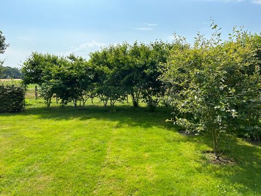 Garten / Ziergarten 