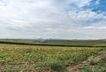 Blick ins Maifeld