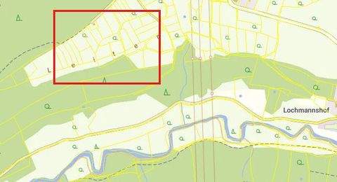 Altdorf / Grünsberg Bauernhöfe, Landwirtschaft, Altdorf / Grünsberg Forstwirtschaft