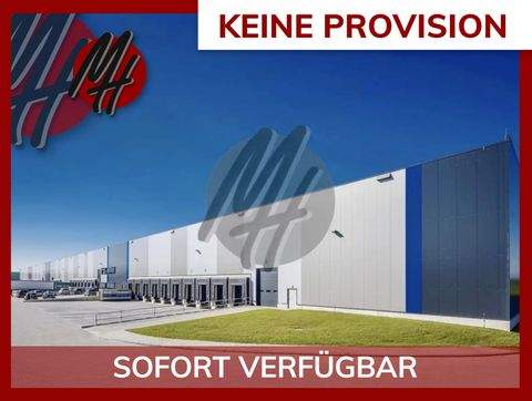 Alzenau Halle, Alzenau Hallenfläche