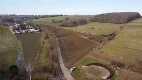 Rammingen Bauernhöfe, Landwirtschaft, Rammingen Forstwirtschaft