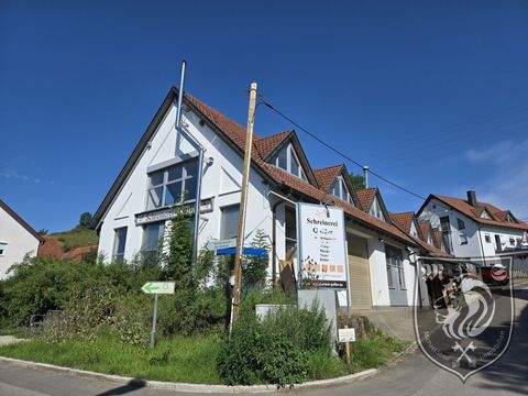 Dischingen Halle, Dischingen Hallenfläche