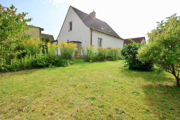 oder für einen Hund