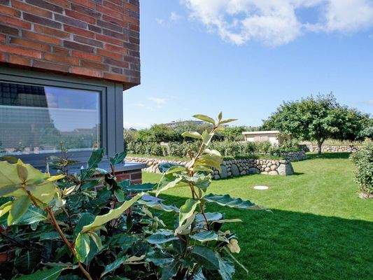 Blick in den sonnigen Garten