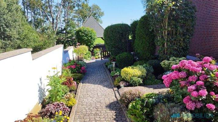 Blütenpracht im Sommer