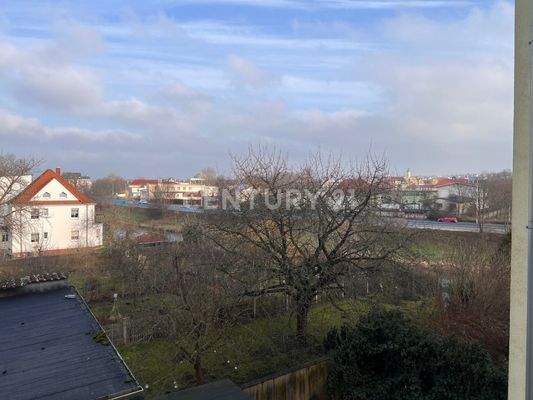 Blick auf weiße Elster