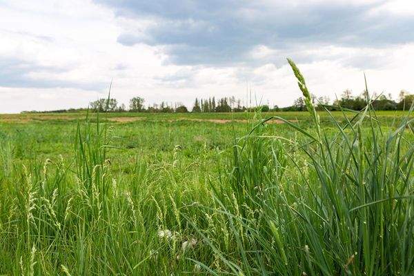 Umgeben von Wiesen und Feldern