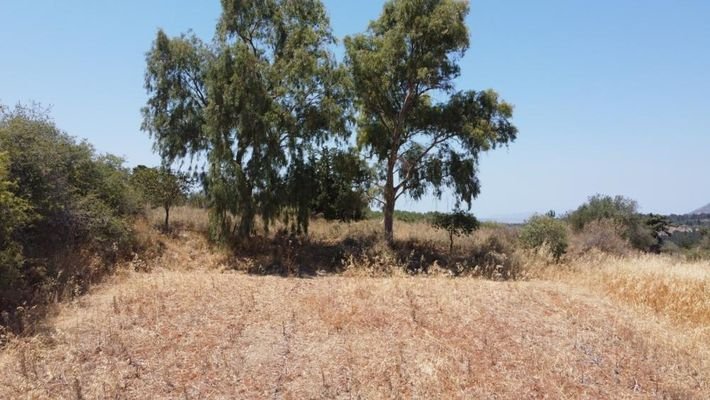 Kreta, Sellia im Apokoronos: Grundstück mit Meerblick in Sellia zu verkaufen