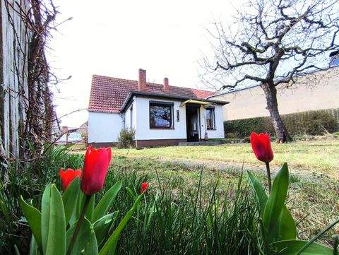 Schollene Häuser, Schollene Haus kaufen