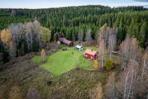 Gunnarskog Häuser, Gunnarskog Haus kaufen