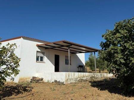 WhatsApp Bild 2025-08-30 um 10.57.12_e5861aba