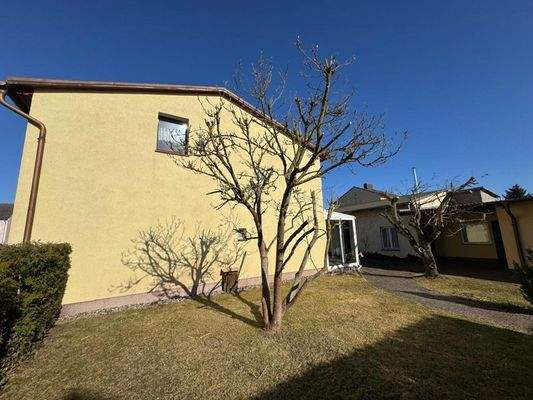 WhatsApp Image 2026-03-04 at 11.36.56 (4)