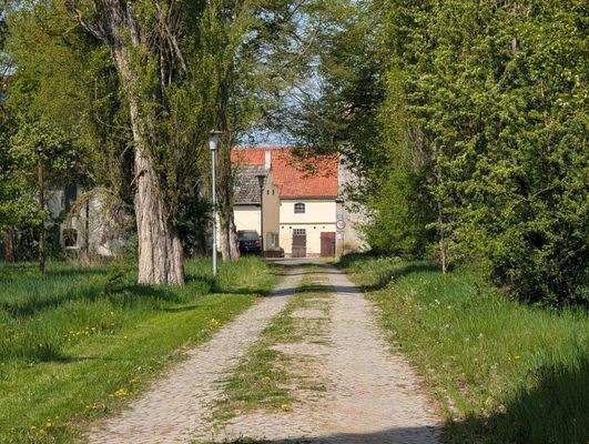 Einfahrt zum Grundstück