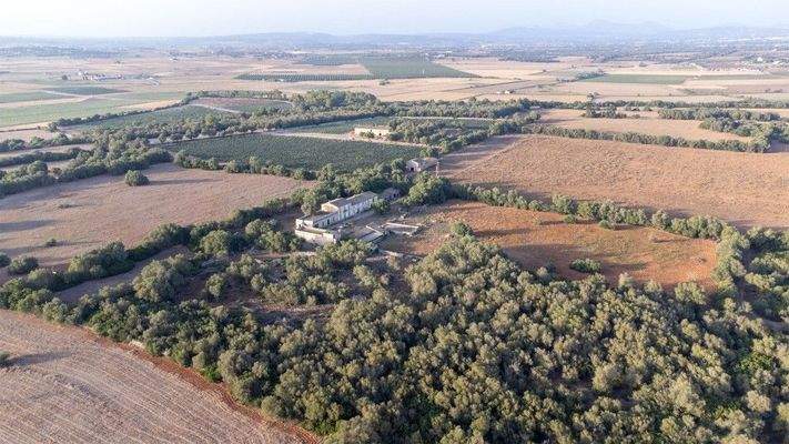 Große rustikale Finca zum Verkauf in Villafranca de Bonany, Mallorca