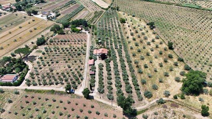 1C0063E4-35C8-47BB-BF2E-B17F12504DC1_1_102_o