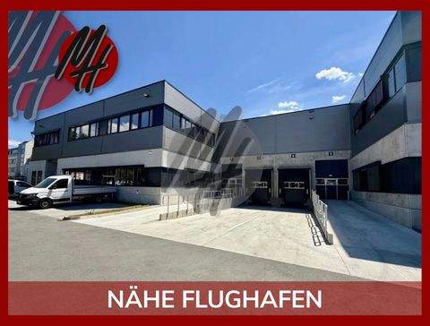 Mörfelden-Walldorf Halle, Mörfelden-Walldorf Hallenfläche