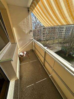 WhatsApp Image 2026-03-16 at 15.24.29