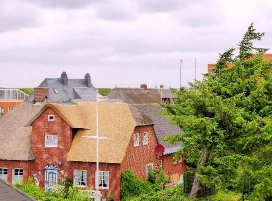 Ausblick auf Reetdachhäuser