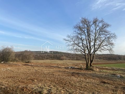 Bale center Bauernhöfe, Landwirtschaft, Bale center Forstwirtschaft