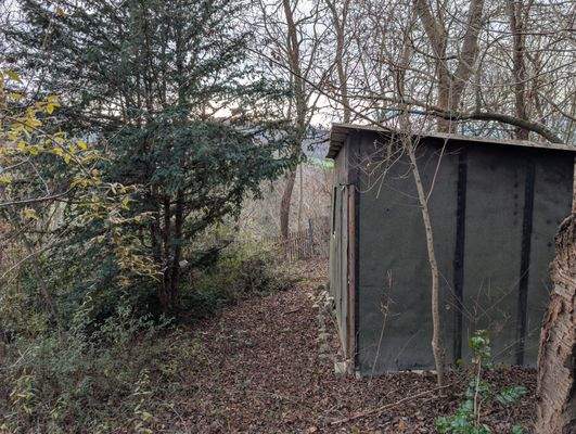 PXL_20251203_124909442