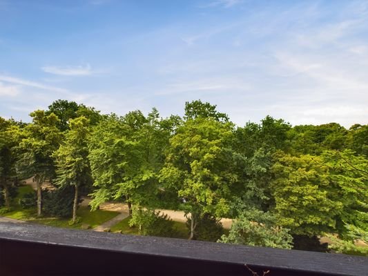 Ausblick auf die Wallanlage