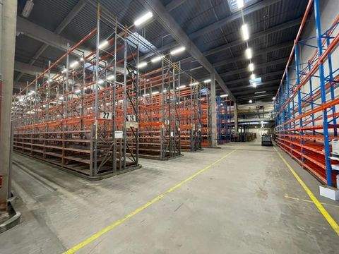 Neuss Halle, Neuss Hallenfläche