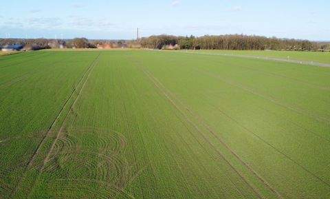 Mettingen Bauernhöfe, Landwirtschaft, Mettingen Forstwirtschaft