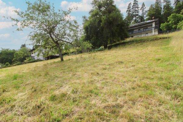 Grundstück von unten Bild 5