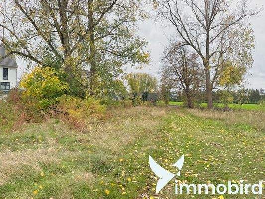 Teilansicht Grundstück