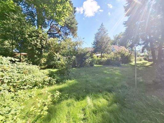 Blick in den Garten Bild 4