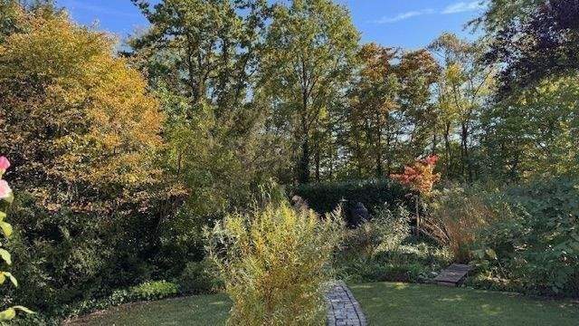 Blick nach Süden über die Grundstücksgrenze.jpg